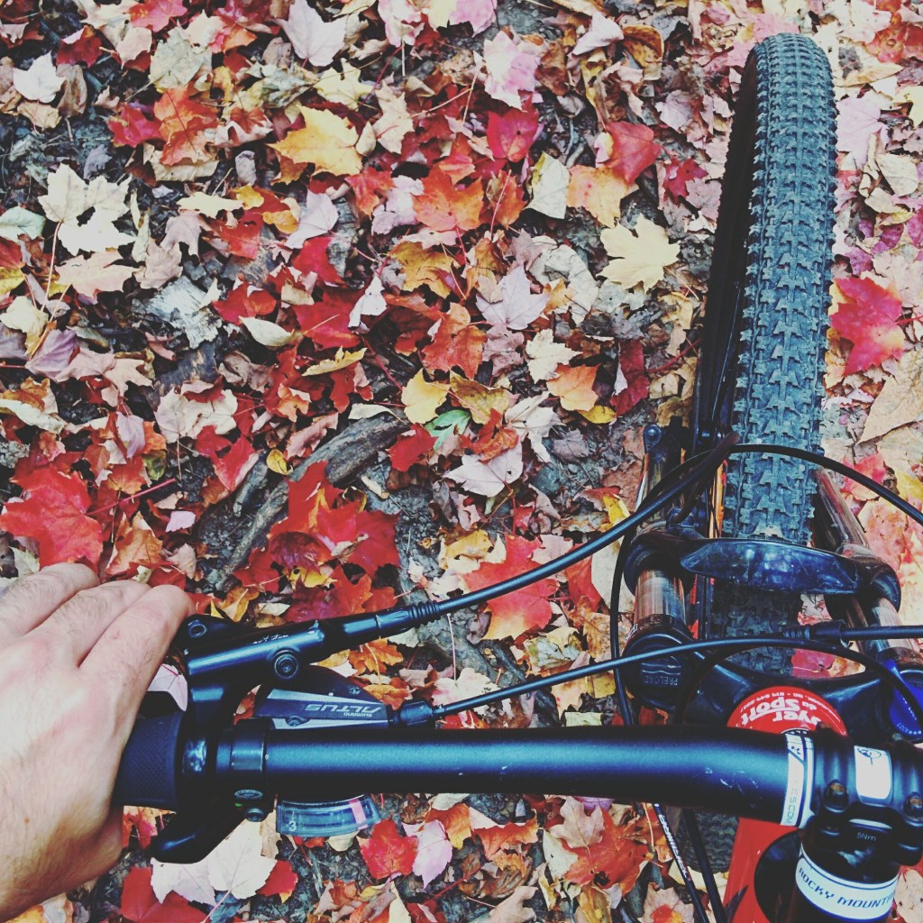 vélo de montagne Parc de la Gorge de Coaticook