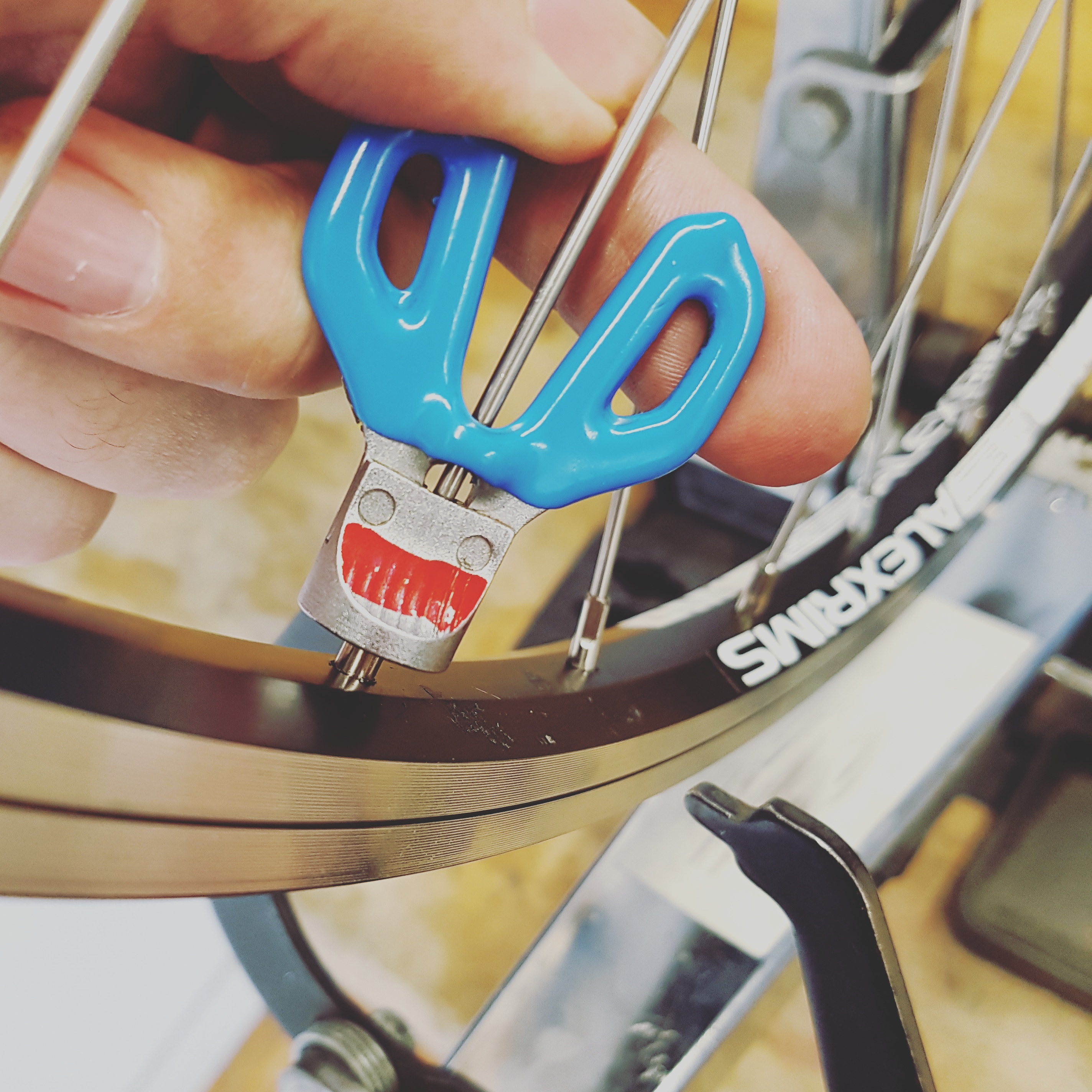 Atelier montage de roues Techno Cycle