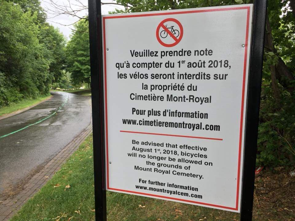 37759094_1613482708774503_2402218325829484544_n